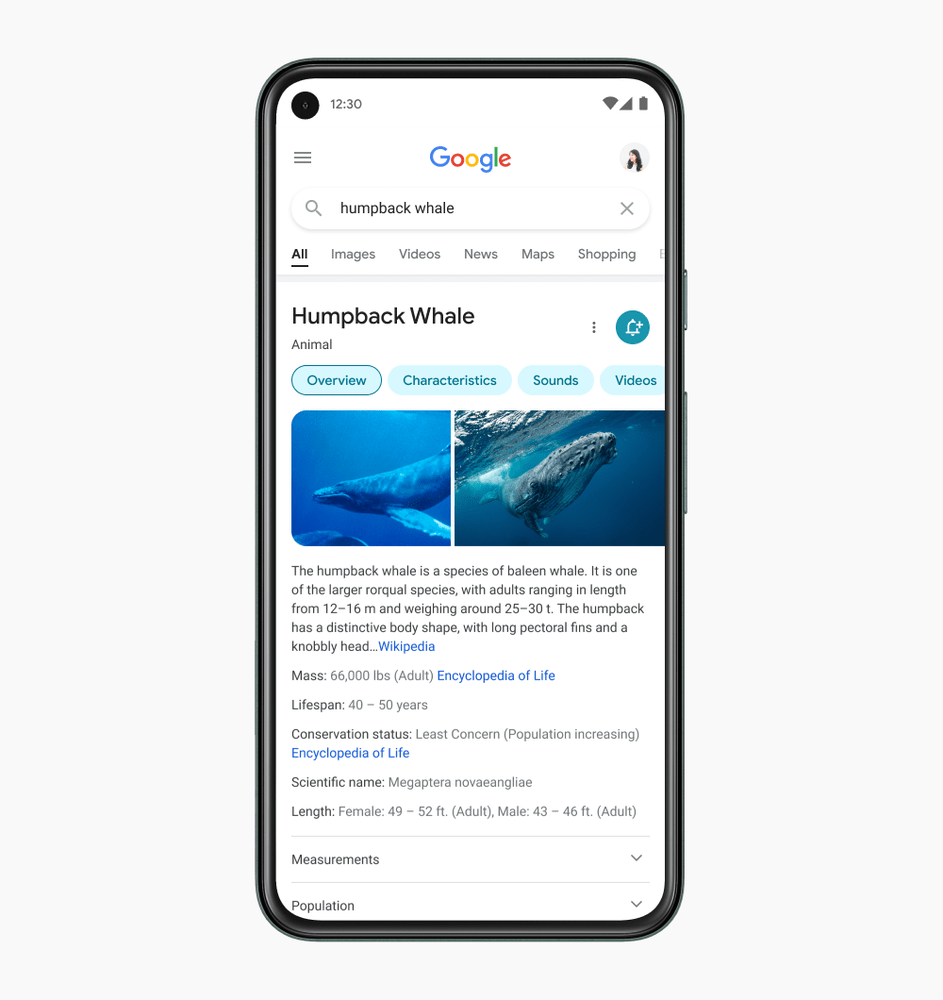 Google Ανακοίνωσε ανασχεδιασμό της αναζήτησης σε κινητά
