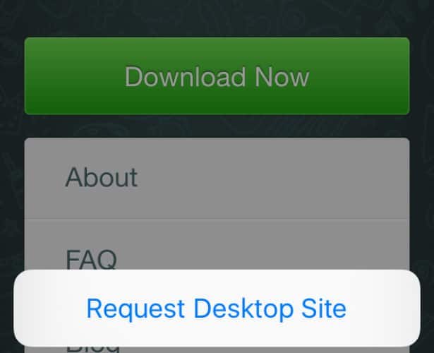 WhatsApp 2.2325.3 download the last version for ipod