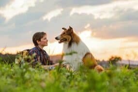 "Λάσι, γύρνα σπίτι": Ο διασημότερος σκύλος του κινηματογράφου κάνει πρεμιέρα